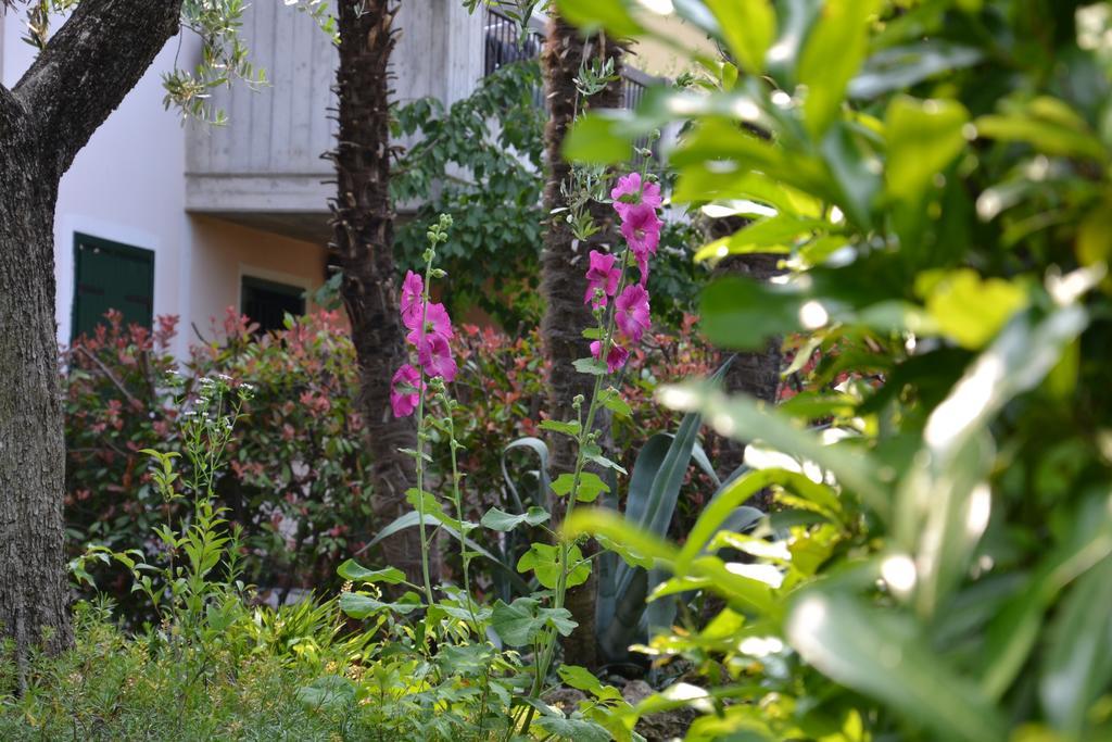 B&B Garda 4U Дезенцано-дель-Гарда Екстер'єр фото